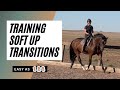 Training A Horse To Go From A Soft Aid