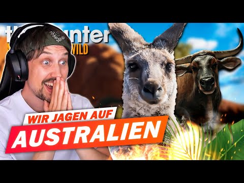 Video: Australien Zoo: Den komplette guide