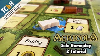 Agricola Revised Edition Solo Gameplay & Tutorial Livestream