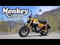 2020 honda monkey  das geilste kleinste bike