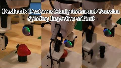 Dexterous Manipulation and Gaussian Splatting Inspection of Fruit