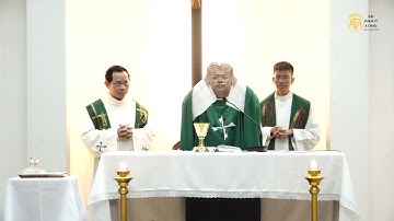 Thánh Lễ Chúa Nhật XIV Thường niên năm A, 09/07/2023