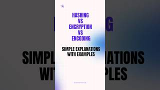 Hashing vs Encryption vs Encoding Simple Explanations with Examples #shorts