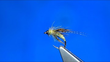 Tying a Maderia Caddis Soft Hackle Pupa by Davie McPhail