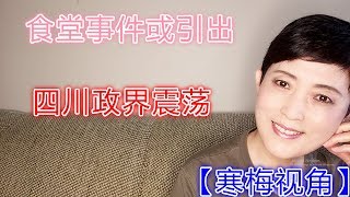 190317-2【成都7中事件大反转】【深度分析，揭示事件背后的一张网】【寒梅视角】