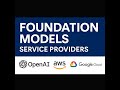 Class : 1 Foundation models service providers