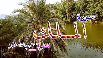 سورة الملك بصوت هادئ💚 للقارئ عبدالله فايز