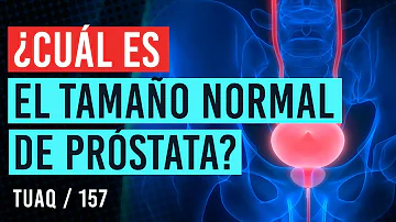 ¿Cuál es el tamaño normal de la próstata a los 65 años?