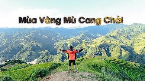 Trải Nghiệm Mù Cang Chải: Mùa Vàng Tây Bắc P.1