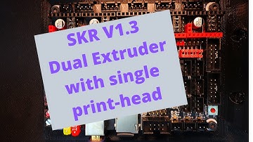 SKR 1.3 - Dual Extruder with single print-head