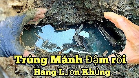 Câu lươn mương_Trúng mánh đậm_Nhức nách toàn tập_tập337//Ditch eel fishing. hit all the giant eels