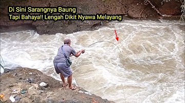 MANCING BAUNG MENGGUNAKAN UMPAN USUS AYAM