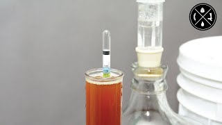 Balancing a Home Draft Beer System, Maintaining a Glycol Chiller, & Gravity Reading Woes - Ep.419