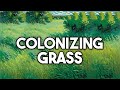 Colonizing grass the systematic destruction of ecosystems