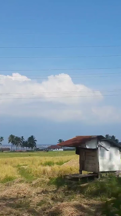 Sawah Maninjau #remix #dj #music #cover #minangtourism #musicgenre #wisata #maninjau