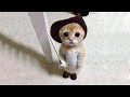 【面白い動画】 かわいい猫 - かわいい犬 - 最も面白いペットの動画 #6