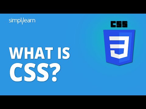 Everything You Need to Know About CSS