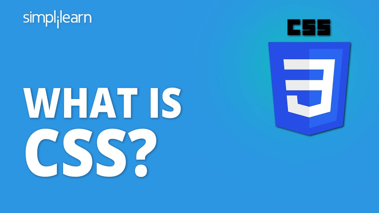 What Is CSS? | Introduction To CSS | CSS Tutorial For Beginners | CSS ...