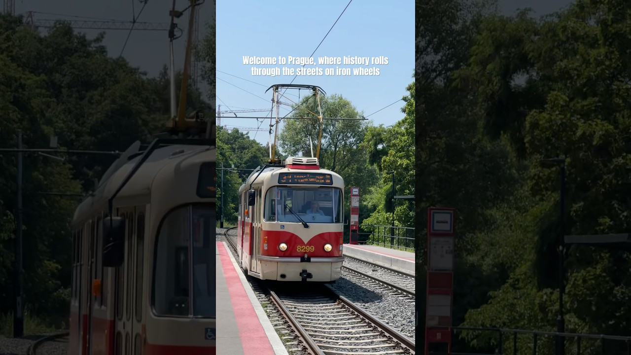 Prague’s old trams 🇨🇿 