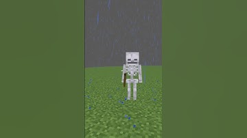 Minecraft Skeleton vs Zombie Battle #shorts #minecraft