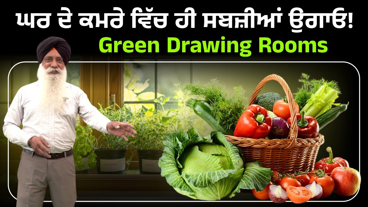ਘਰ ਦੇ ਕਮਰੇ ਵਿੱਚ ਹੀ ਸਬਜੀਆਂ ਉਗਾਓ ! Green Drawing Room