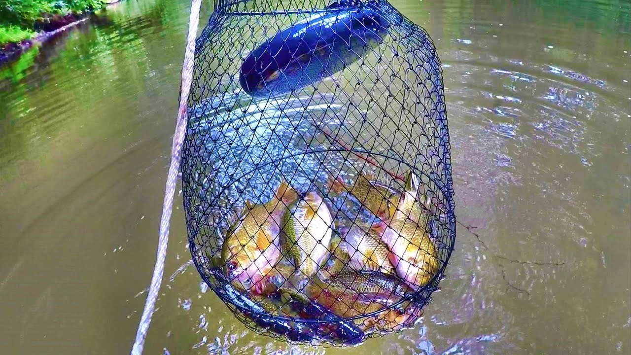 Easy Way To Catch A Delicious Eating Panfish