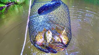 Easy Way To Catch A Delicious Eating Panfish
