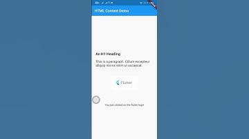 HTML Content inside a flutter app example | Flutter Central