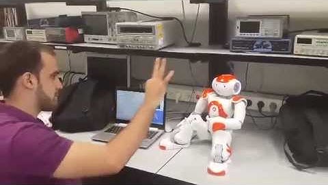 Gesture Recognition on NAO Robot