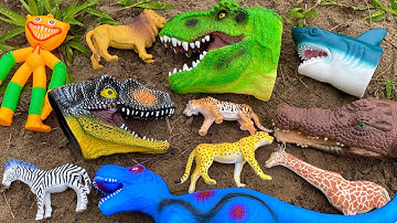 Changcady đi tìm con vật động vật đồ chơi cá sấu - khủng long - hổ hưu cao cổ - cá mập - hổ - sư tử