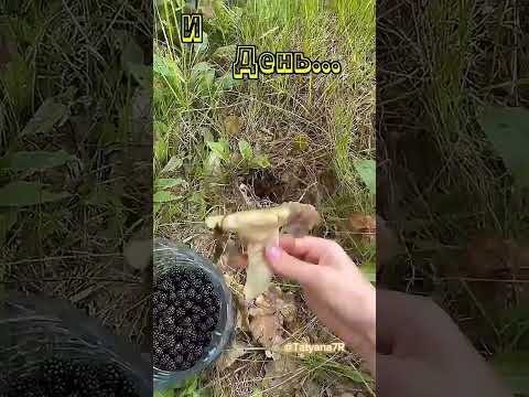 Доброе утро! Пусть сладость спелой ягоды будет вкусом сегодняшнего дня!🍓🍓🍓🍒🍒🍒🌞😘