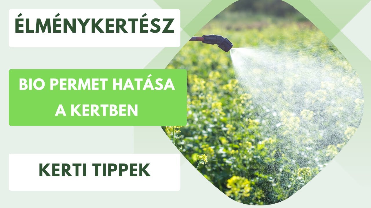 Bio permet hatása a tetvekre🪲