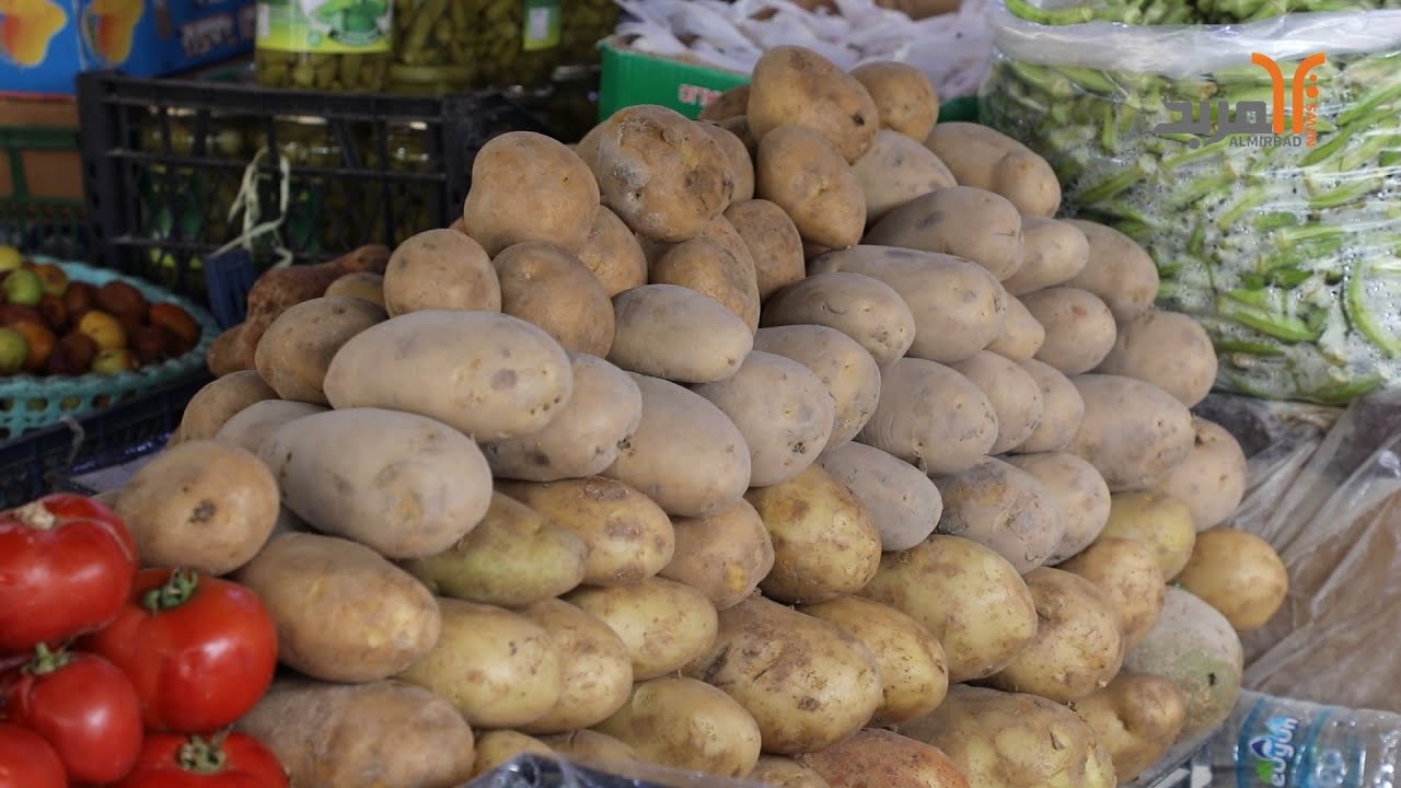 بين تفاوت وارتفاع أسعار الطماطم والخضروات في سوق الزبير #المربد