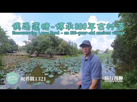視界觀 1321「行走漫聊」-在廣州黃埔行車郊遊時偶遇一座傳承800年的南宋古村-蓮塘，已近深秋時節池塘卻依然蓮花盛開，人民食堂和陳氏祠堂和舊時學堂書屋皆存 @drchinviewtalk（CC字幕）