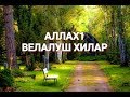 АЛЛАХ1 велалуш хилар / 1умар.