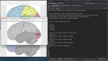Code-in-Place 2020 Final Project