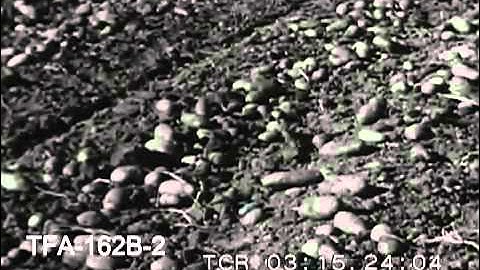 Food For Millions, 1950s