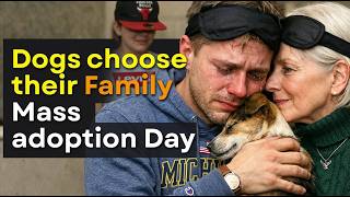 When Dogs Choose No One… 😭 But This Moment Changes It All 🐶❤️