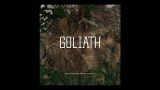 Zack Hemsey - &quot;David Becomes Goliath&quot;