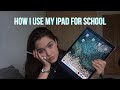 how I use my iPad Pro for school // leaving cert & junior cert