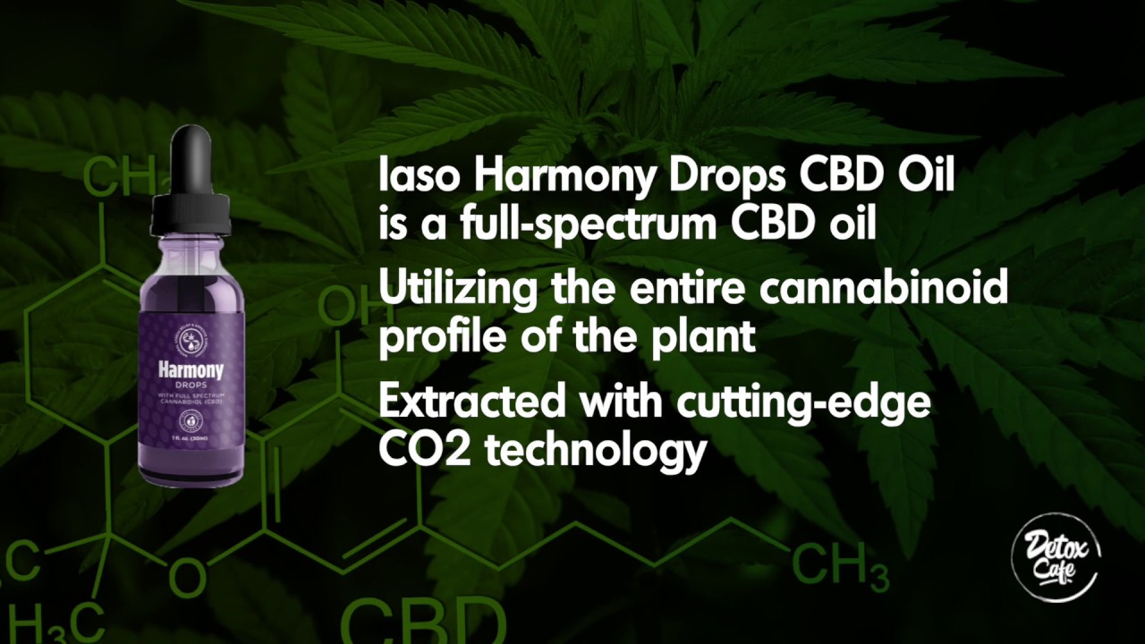Iaso Harmony Drops A Different Kind of CBD Oil YouTube