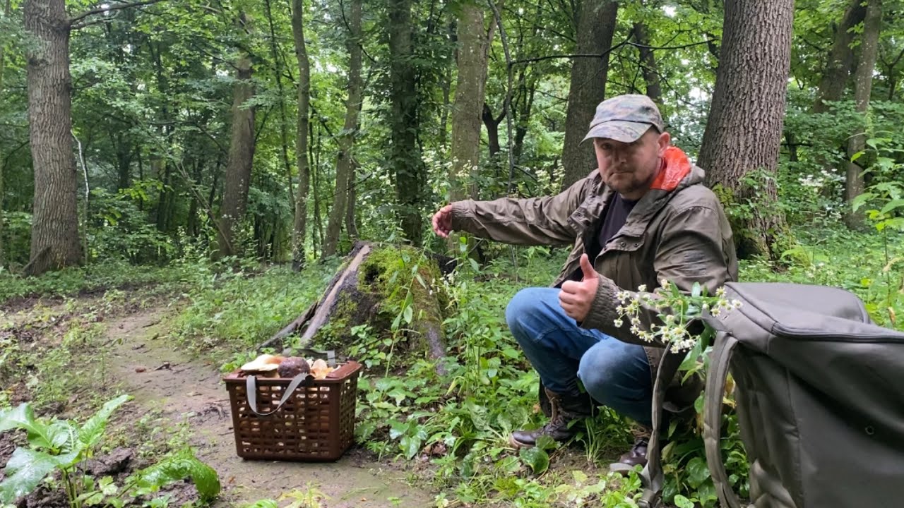 Цього Гіганта Побачив Здалека Друзі.. Неділя 27 липня Білі Гриби.. Гриби 2025