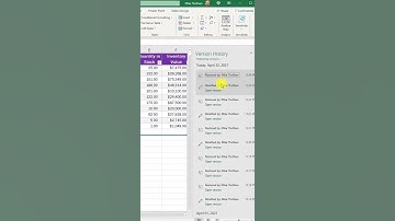 Version History in Excel 📅