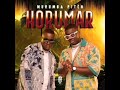 Murumba Pitch & Omit ST ft Russell Zuma & Sipho Magudulela ‐ Imvula (Official Audio)