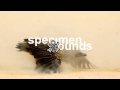 Slow Magic - ◯ (Diadainconsupertrafra Remix)