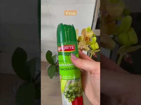 85. Что делать