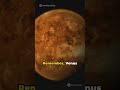 How to spot Venus in the night sky #space #hottestplanet