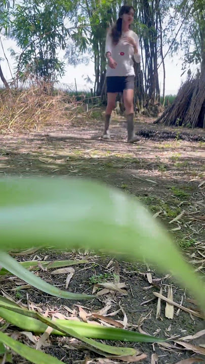 Putting up sticky rice instead I met an eagle #bird #rural