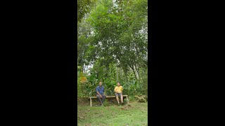 Is our language blocking true understanding? | Just 1 Question EP45