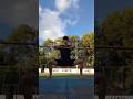 Horse and Bow Stances Technique Practice - Choy Lay Fut, Kung Fu